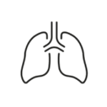 lungs 3